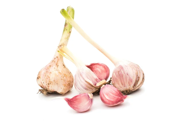 Knoblauch isoliert — Stockfoto