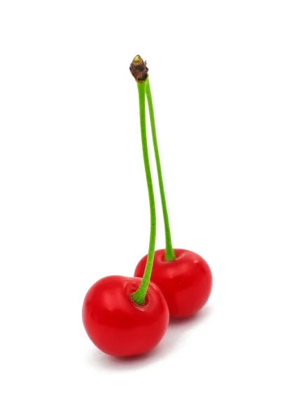 Cherries isolated — Stock Photo, Image