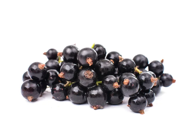 Black currant — Stock Photo, Image