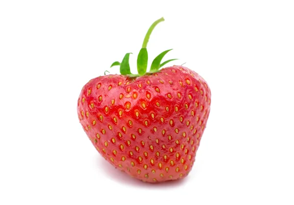 Strawberry close-up — Stock Photo, Image