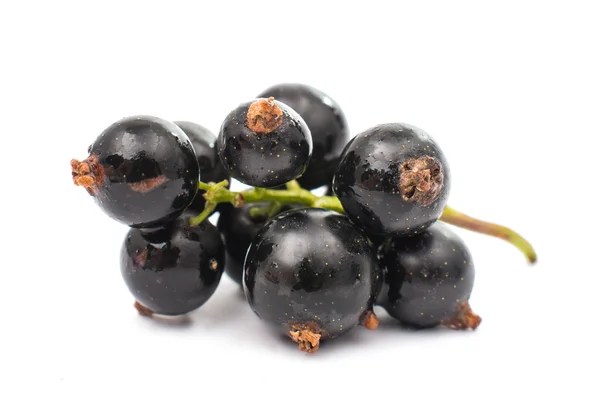 Black currant — Stock Photo, Image