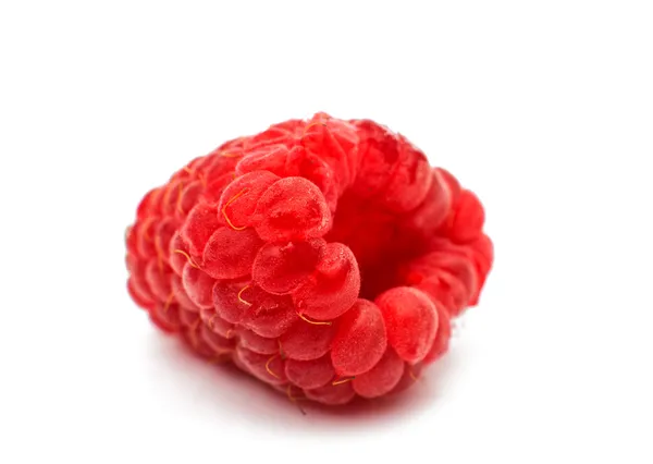 Fresh raspberry — Stock Photo, Image