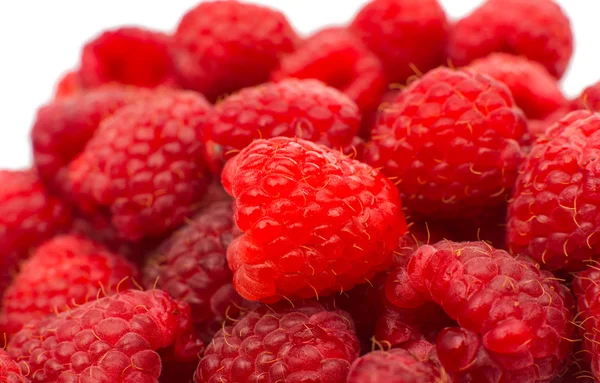 Frische Himbeeren — Stockfoto