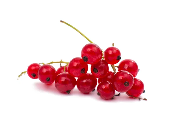 Red currant — Stock Photo, Image