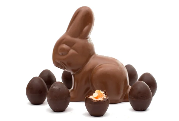 Chocolade bunny met eieren — Stockfoto