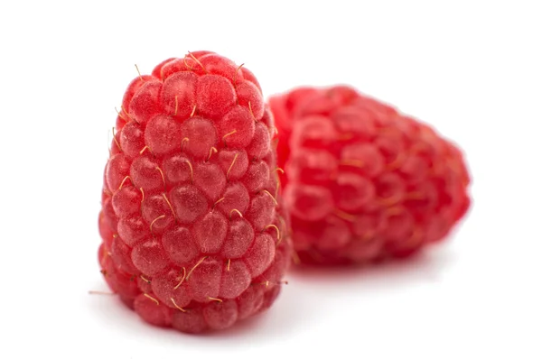 Rote Himbeeren — Stockfoto