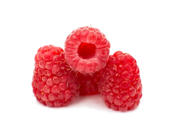Red Raspberries — Stock Photo, Image