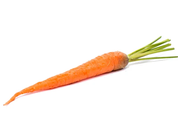 Fresh carrot — Stock Photo, Image