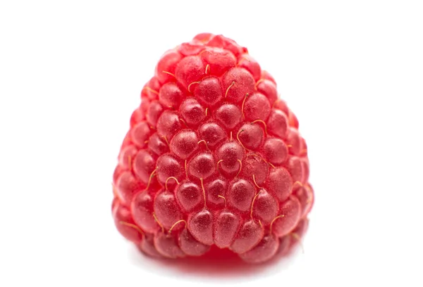 Red Raspberry — Stock Photo, Image