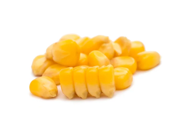 Konzerv kukorica — Stock Fotó