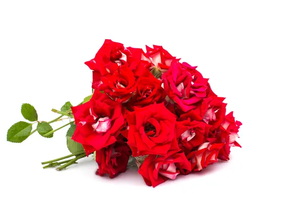 Bouquet of red roses Royalty Free Stock Photos