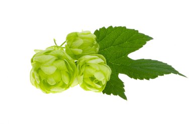 Sekme konisi beyaz arkaplanda izole 