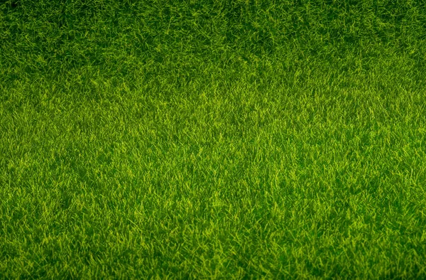 Fundo Grama Verde Artificial Bonita — Fotografia de Stock