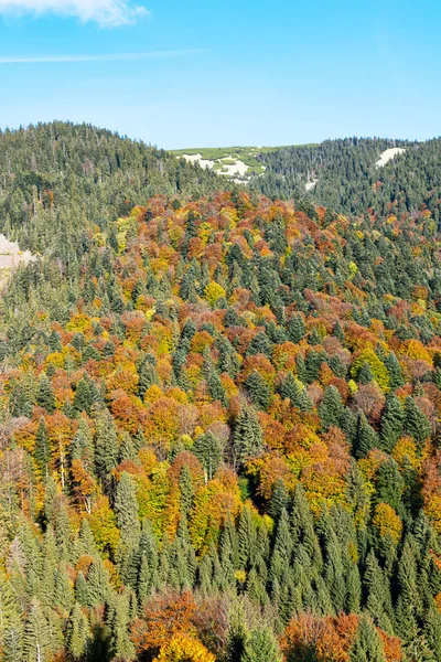 Autumn Landscape Carpathian Mountains — Stock Photo, Image