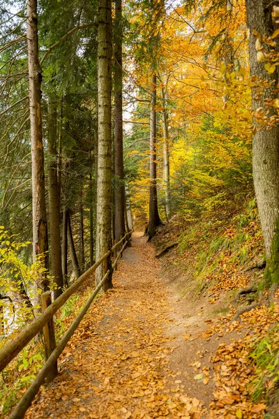 カルパチアの秋の風景 — ストック写真
