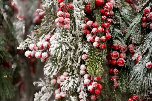 Natal Karangan Bunga Cemara Dengan Salju — Stok Foto