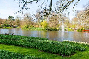 Hollanda 'daki güzel bahar parkı 