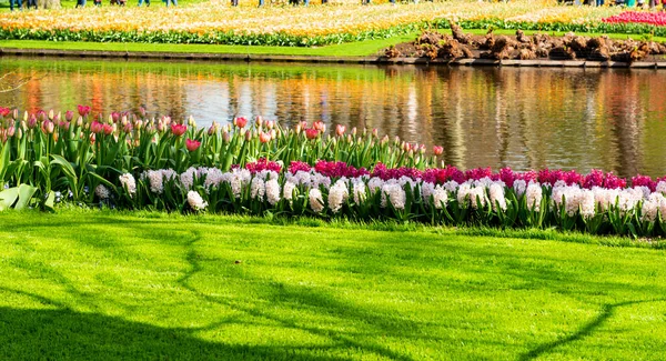 Красивый Весенний Парк Голландии — стоковое фото