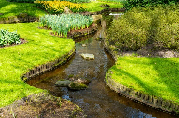 Vacker Vårpark Holland — Stockfoto