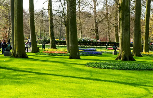 Piękny Park Wiosenny Holandii — Zdjęcie stockowe