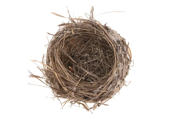 Bird Nest Isolated White Background — Stock Photo, Image