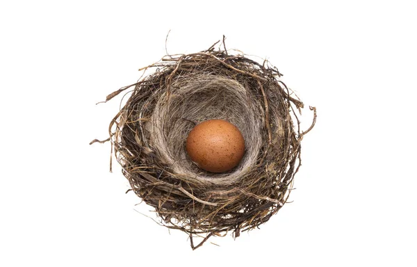 Пташине Гніздо Яйцем Ізольовано Білому Тлі — стокове фото