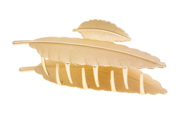 Beyaz arkaplanda izole edilmiş güzel saç yengeci 