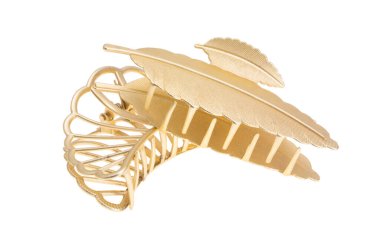 Beyaz arkaplanda izole edilmiş güzel saç yengeci 