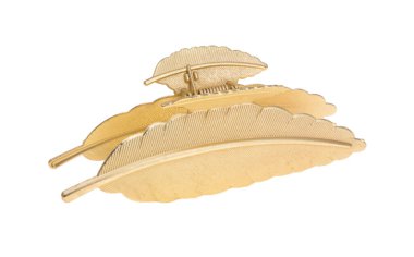 Beyaz arkaplanda izole edilmiş güzel saç yengeci 