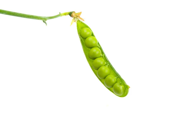 Morceau Pois Verts Isolé Sur Fond Blanc — Photo