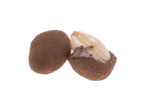 Трюфельний Мигдаль Шоколаді Ізольований Білому Тлі — стокове фото
