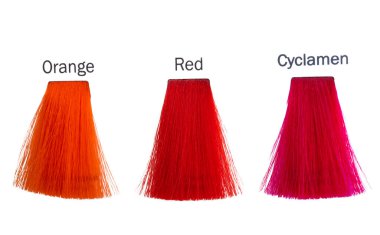 çok renkli bukleler beyaz arkaplanda izole edilmiş. 