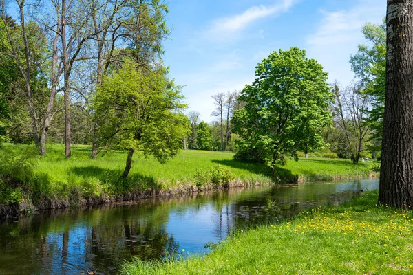Vacker Natur Våren Parken — Stockfoto