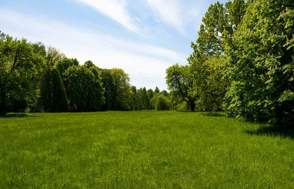 Beaux Paysages Printemps Dans Parc — Photo