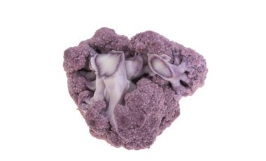 Karnabahar beyaz arkaplanda izole 