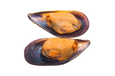 Beyaz arkaplanda yalıtılmış midyeler 