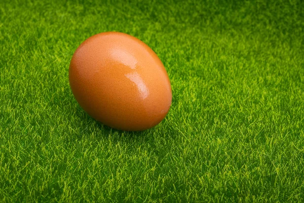 Huevos Pollo Sobre Hierba Verde —  Fotos de Stock