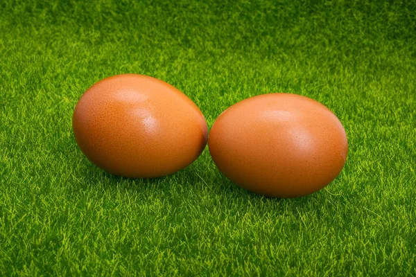 Ovos Galinha Grama Verde — Fotografia de Stock