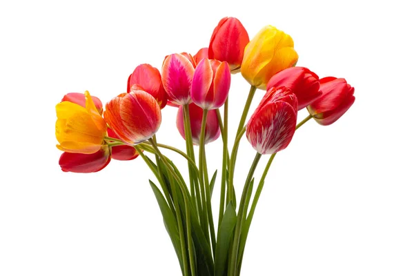 Boeket Tulpen Geïsoleerd Witte Achtergrond — Stockfoto