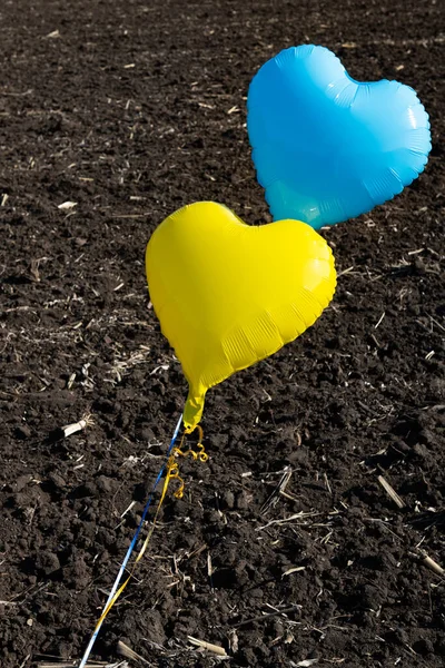 Ballons Jaune Bleu Sur Fond Terre — Photo