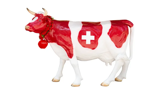 Vaca Suiza Aislada Sobre Fondo Blanco — Foto de Stock