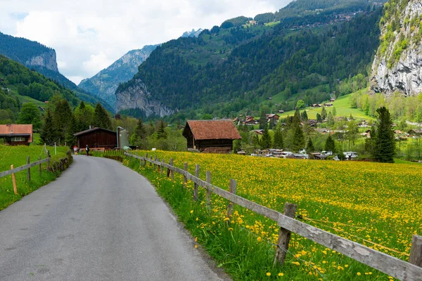 美丽的阿尔卑斯山春景 — 图库照片
