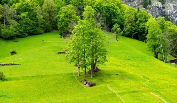 Piękny Wiosenny Krajobraz Alpach — Zdjęcie stockowe