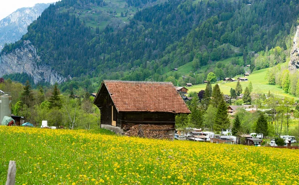美丽的阿尔卑斯山春景 — 图库照片