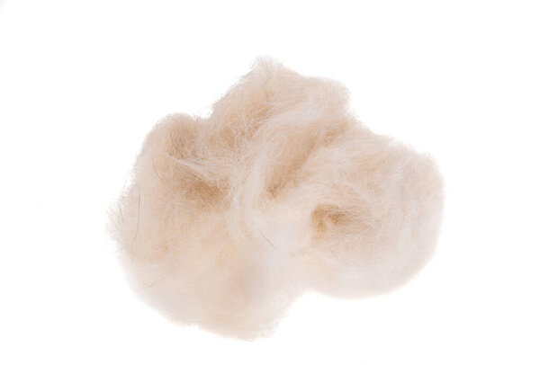 шерсть изолированы на белом фоне
