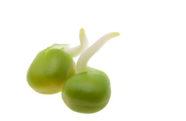 Beyaz arkaplanda filizlenmiş bezelyeler