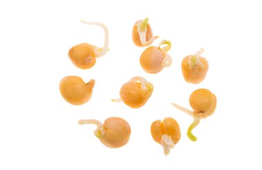 Beyaz arkaplanda filizlenmiş bezelyeler