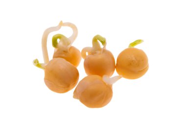 Beyaz arkaplanda filizlenmiş bezelyeler