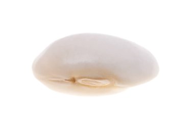 Beyaz arkaplanda izole edilmiş fasulye