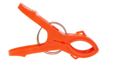 büyük mandal beyaz arkaplanda izole